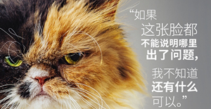 寵物慢性腎功能衰竭介紹
